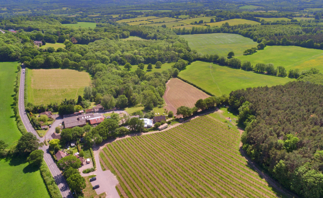 An aerial view of Sedlescombe Organic Vineyard with surrounding countryside