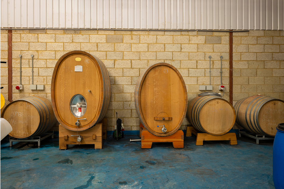 Wooden wine barrels and large oval fermentation tanks at Tillingham