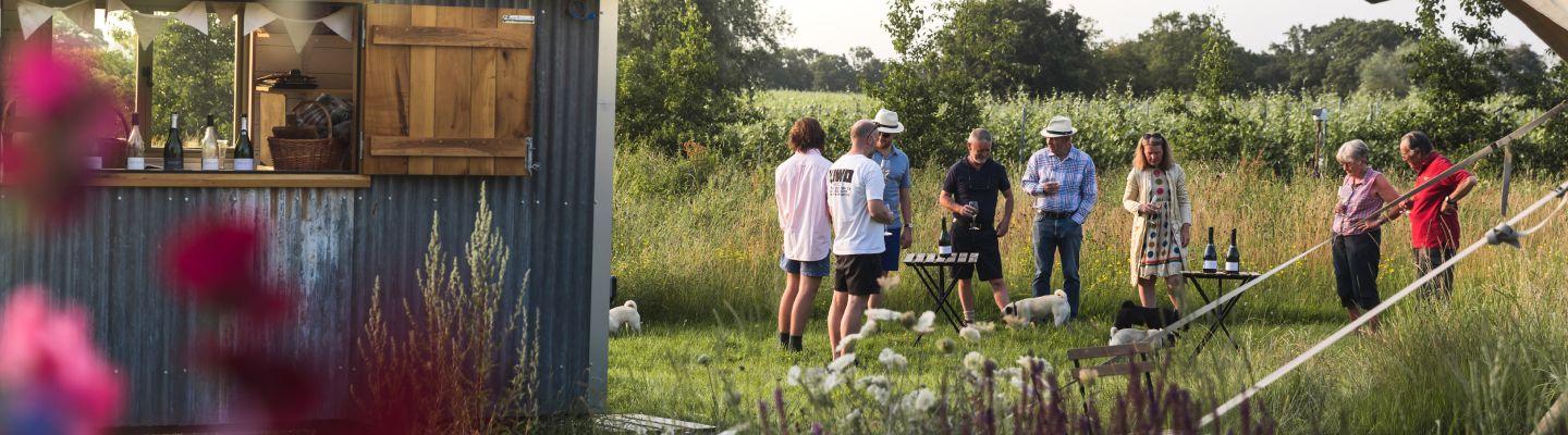 People drinking wine standing in the vineyard with the outdoor tasting bar in the foreground at Oxney Organic Estate